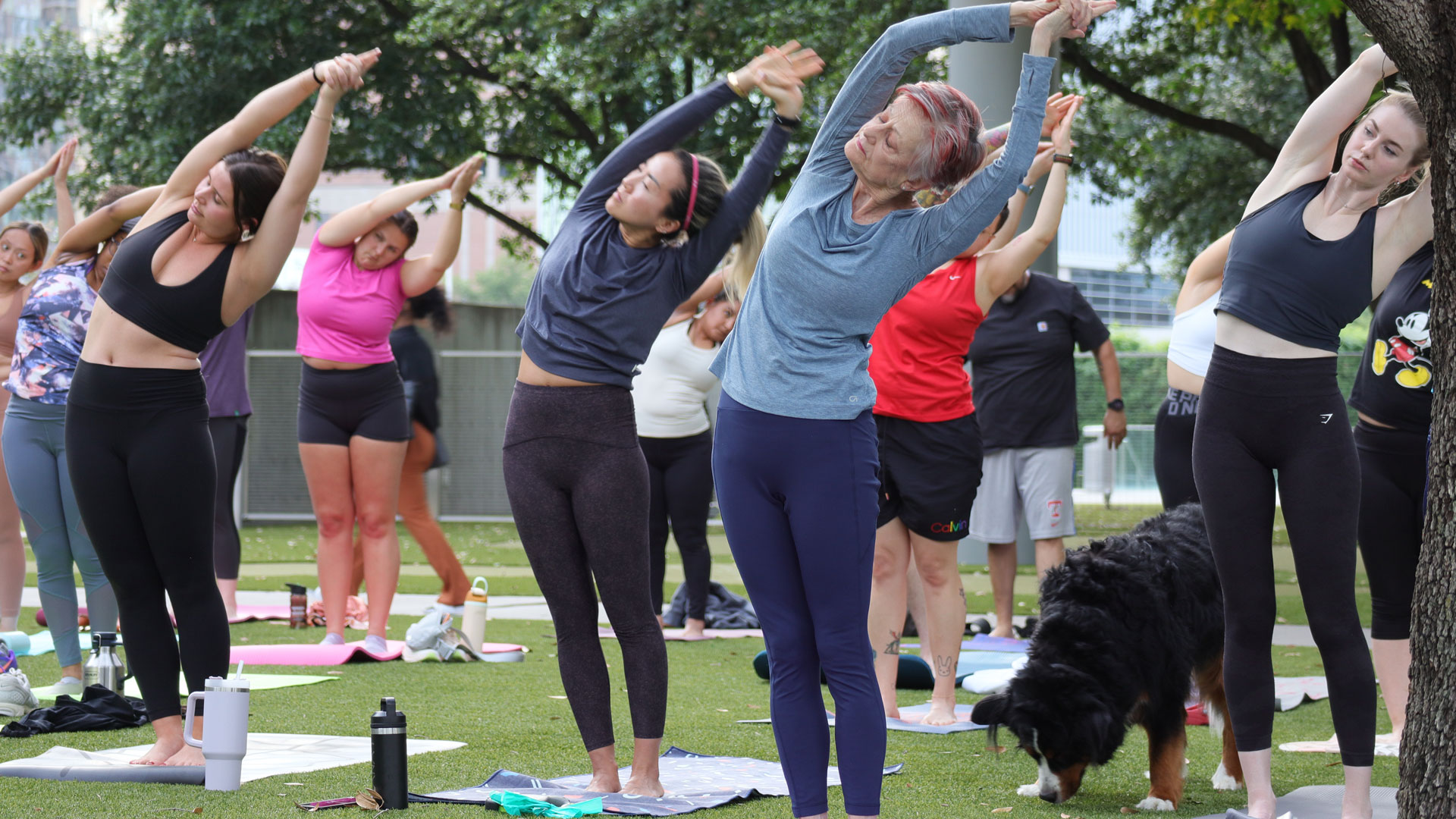 Wellness Series - Yoga - AT&T Performing Arts Center