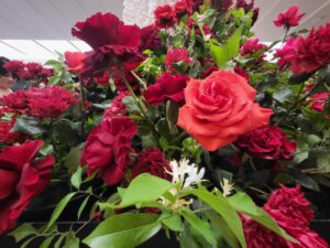 Fleurs de Villes - Debut Blog 2026