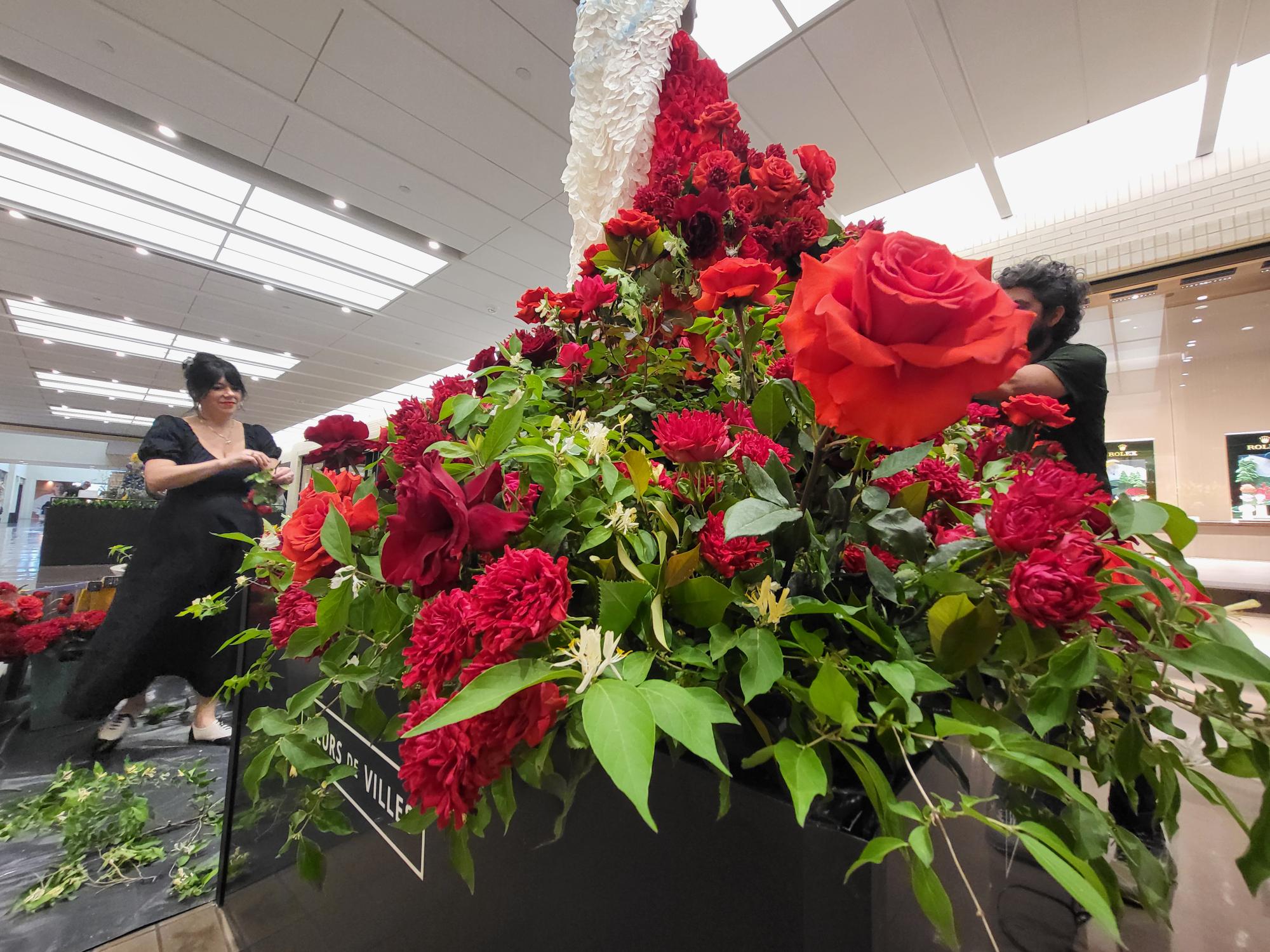 Fleurs de Villes - Debut 2026